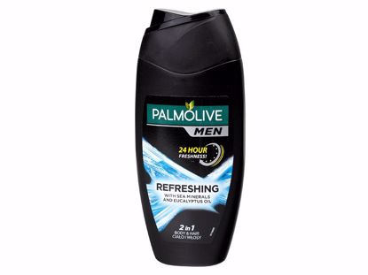 Obrázek Sprchový gel Palmolive pánský 250 ml